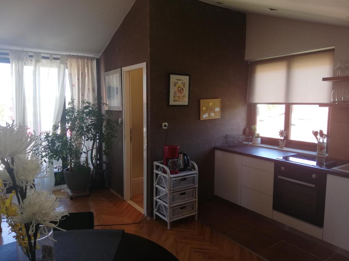 Apartments Sun Zadar Bagian luar foto